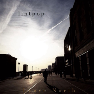 lintpop - Leave North