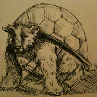 The Turtle Bear