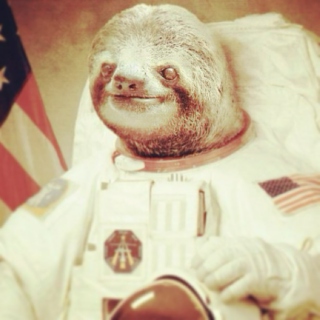 Sloths in Space