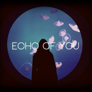 Echo of you