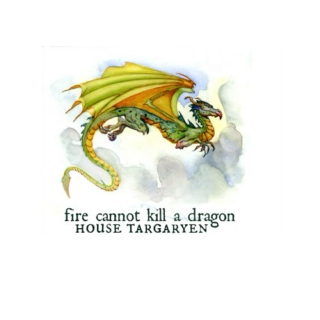 fire cannot kill a dragon
