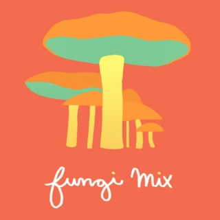 fungi mix