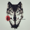 A Wolf in the Garden with Kaleidoscope Eyes