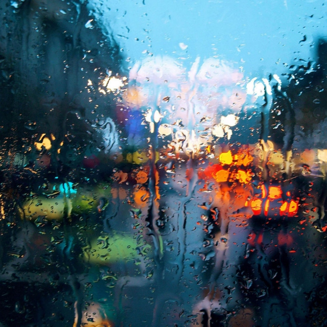 Bus Rides and Rainy Days