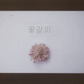 꽃갈피 (flower bookmark)