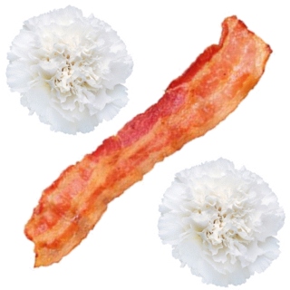 bacon and white carnations