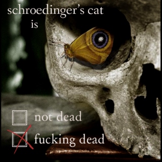 schroedinger's cat is fucking dead