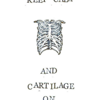 Keep calm and cartilage on