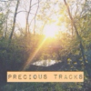 precious tracks♡