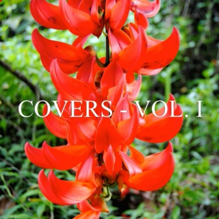 Covers Vol. I