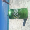 Blue Water and Bud Light