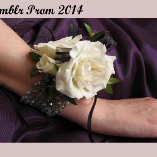 Tumblr Prom 2014