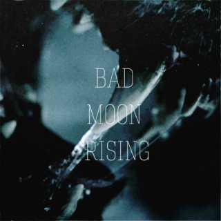 bad moon rising