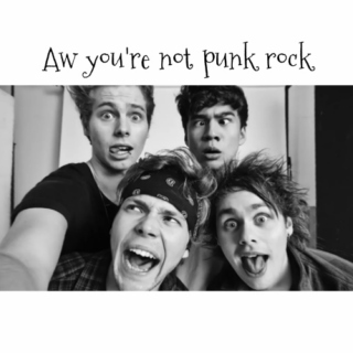 "Aw you're not punk rock."