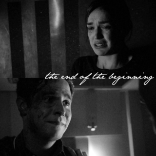 The End of the Beginning || Fitzsimmons