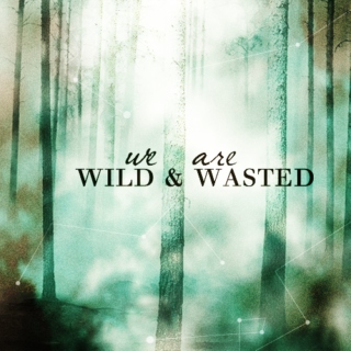 we are wild and wasted