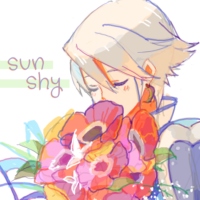 sun shy ☼