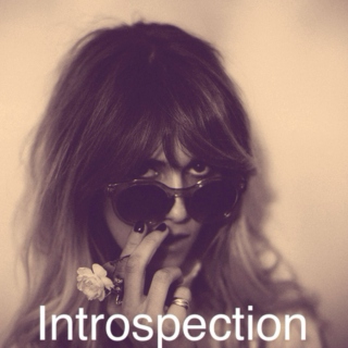 Introspection 