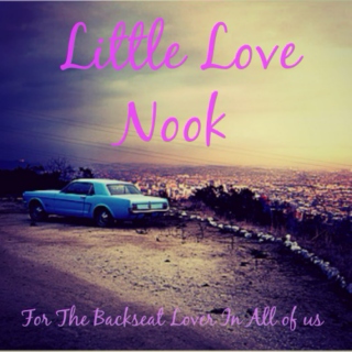 Little Love Nook: For The Backseat Lover In All Of Us