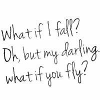What If I Fly?