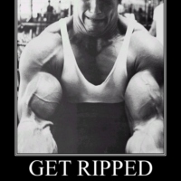 Get Ripped... or Die Tryin
