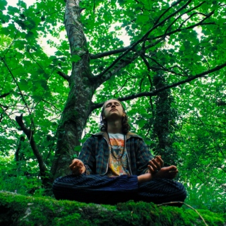 Psychedelic Meditation