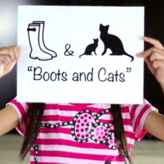 The Boots and the Cats