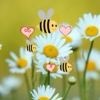 Hearts and Honeybees