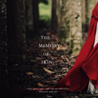 The Memory Of Skin {a Red Riding Hood story}
