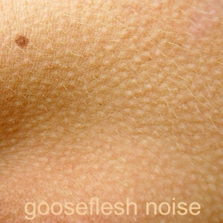 Gooseflesh noise