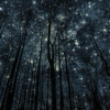 sky full of stars