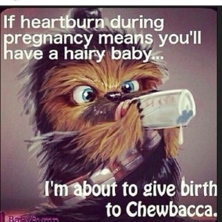 Heartburn: The Birth of a Chewie