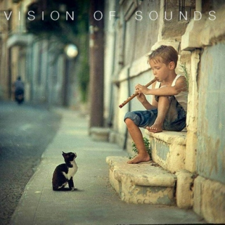 Vision of Sounds 