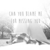 can you blame me for missing you