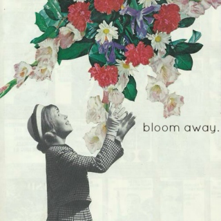 bloom away.