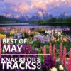 Best of May 2014