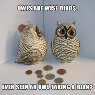 Owls are wise enough to take no loans