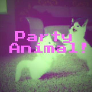 Party Animal!