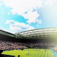 Wimbledon 2014: I know, my pride, my goals, my highs my lows.
