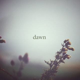 1 word playlist - Dawn