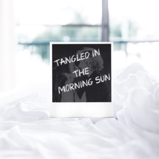 tangled in the morning sun