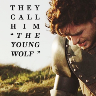 they call him the young wolf