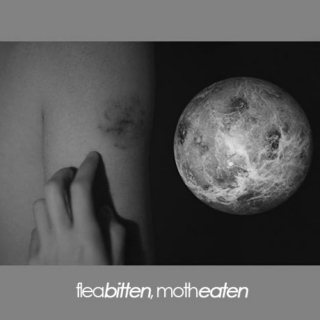 Fleabitten / Motheaten