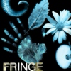 Fringe 1.1