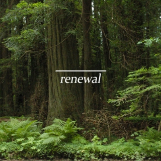 Renewal - A Yoga Playlist
