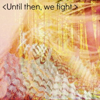 Until Then We Fight