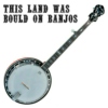This land was build on banjos