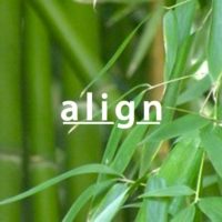 Align - A Yoga Playlist