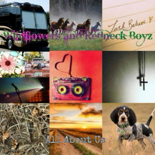 Wildflowers and Redneck Boyz: All About Us