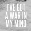 i've got a war in my mind